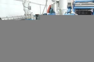 PP Packing Band Machine with Ce Certification