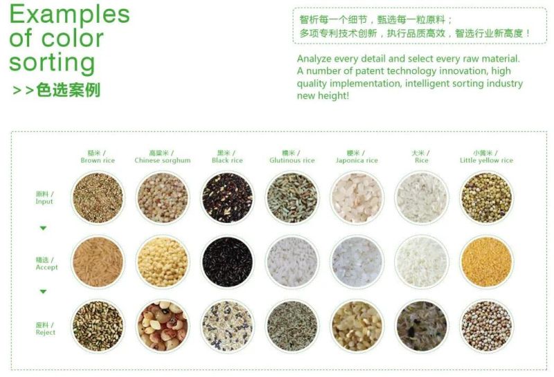 Plastic Pellets Color Sorting Machine Price in China Wenyao Manufacturer