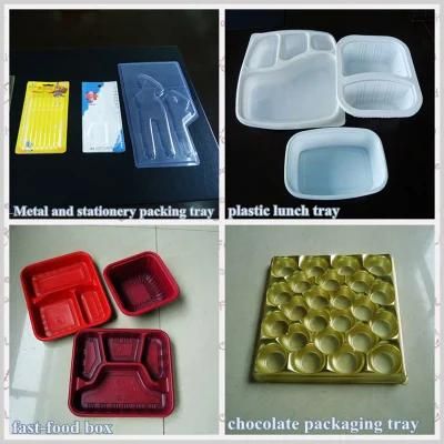 Versatile Intelligent PLC Controll Plastic Pet Cake Tray Thermoforming Machine