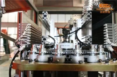 Q9000 Pet Bottle Blow Molding Machine with Good Quality
