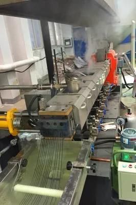 Factory Price Parallel Twin-Screw Granulator Produce Nylon Granules