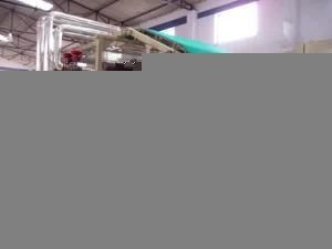 PVC Coil Mat/S-Shape Mat Production Line (DSY-PSYX)