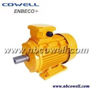 Single Phase and Three Phase Electric Motor