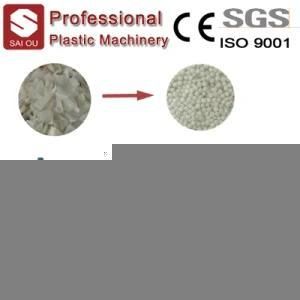 HDPE/PP Fliakes Recycling Pelletizing Line