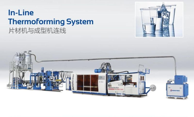 Plastic PP/PS/Pet Mineral/Starbucks/Jelly/Water Cup Thermoforming Machine/Cup Making Machine/Cup Forming Machine/ Cup Thermoformer Machine