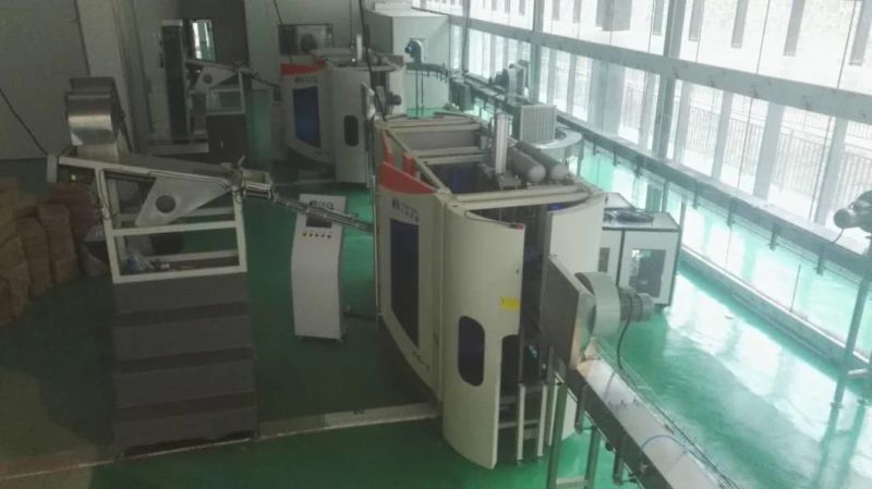 Cooking Oil Strech Blow Molding Machine/Edible Oil Pet Bottle Blowing Machine