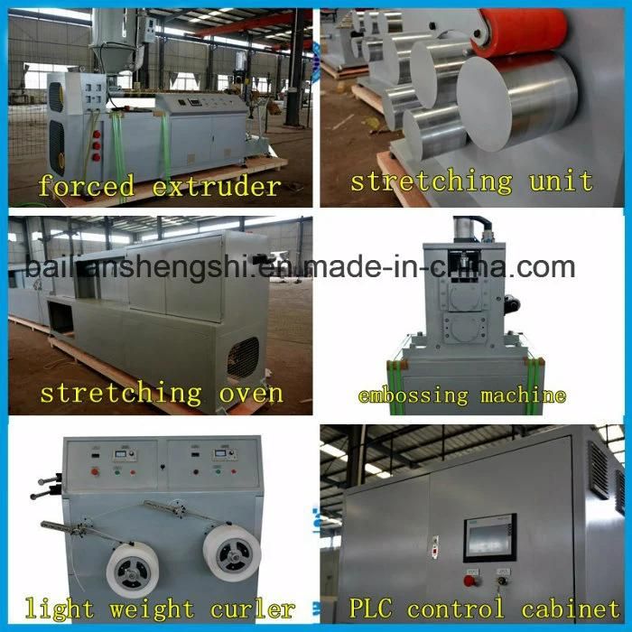 2 Lines Produce PP Strap Making Machine