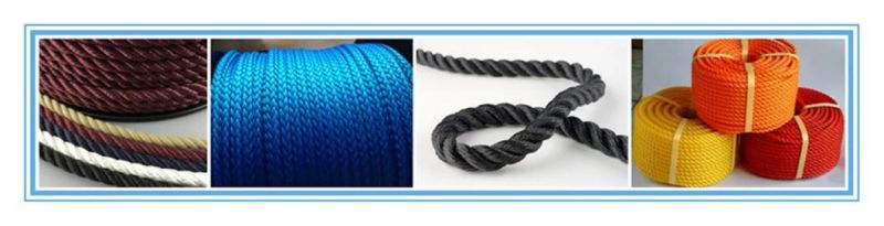 Plastic Polyester Pet Filament Making Extruder/Extruding Machine for Broom/Net/Rope/Brush Fiber/Bristle/Monofilament Yarn