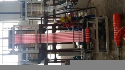 Double-Colour Striped Film Blowing Machine (SJ45*2/SJ55*2)