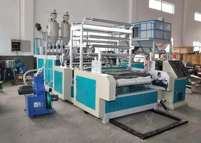 Double Screw Stretch Film Extruding Machine Df-STB65