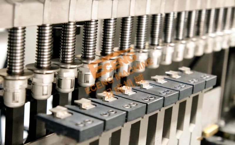 Computerized Plastic Pet Blow Molding Machine Made in China
