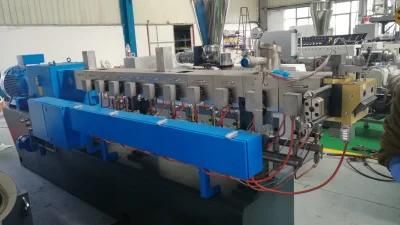 10kg/H Lab Twin Screw Extruder Usuage for Color Masterbatch Polymer
