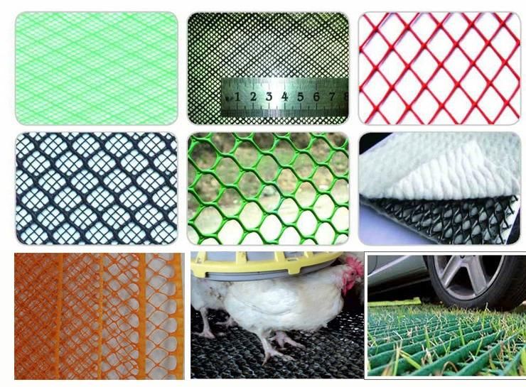 Plastic Geonet Machine with One Extruder From China