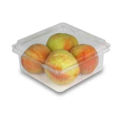 Plastic Lids and Cups PP Box Machine Thermoforming Packaging Durable in Use