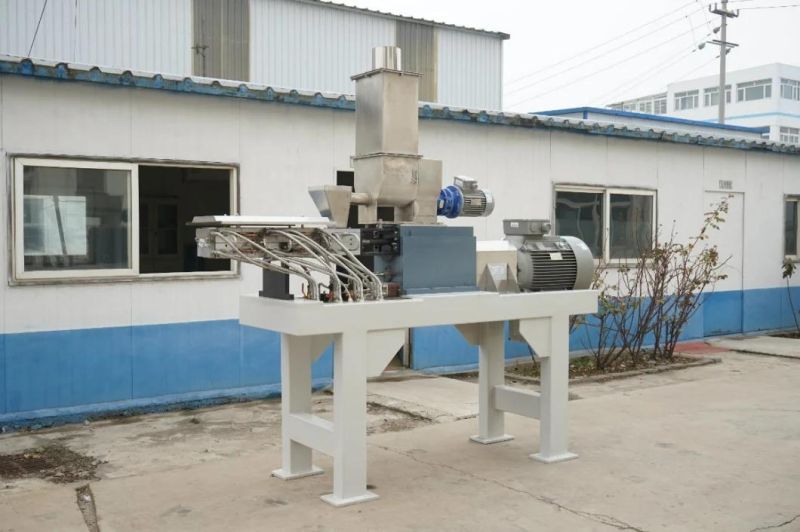 Two Screw Extruder Extrusion Machine for Powder Coating Manufacturing