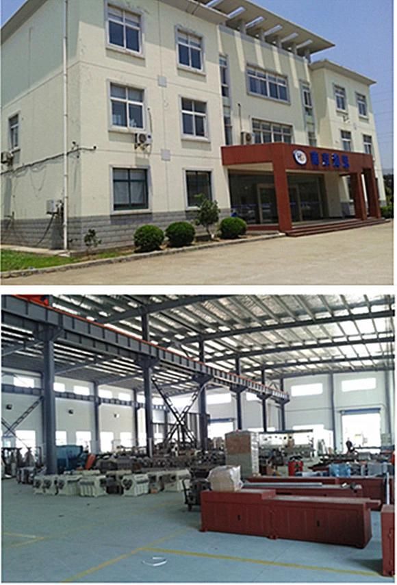 Nanjing Plastic Pellet Parallel Twin Screw Extruder Making Machine