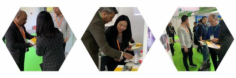 Engineers Service Machinery Overseas Mixed Plastic Sorting Machine PVC Pet Separating Machine