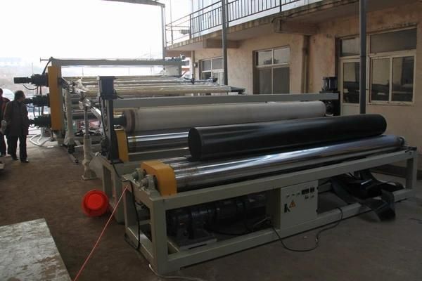 Geo-Membrance Film Extrusion Line PP/Pet/EVA/PE Film Production Line