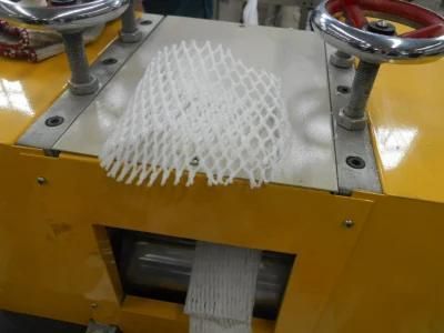Fruit Pack Net Machine Foam Net Making Machine