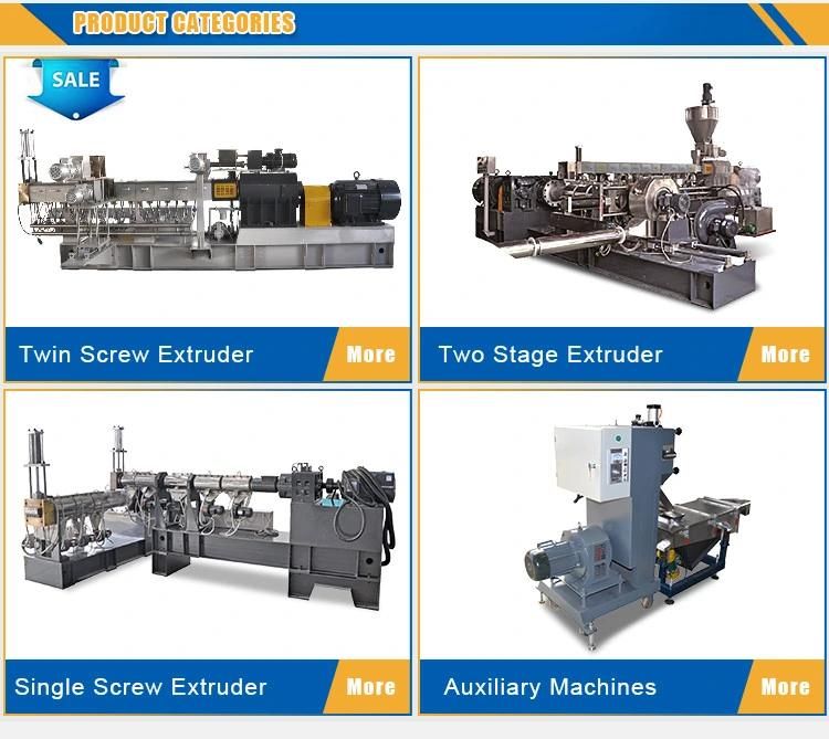 Tse Series PP/PE+CaCO3 Plastic Filler Masterbatch Machine Twin Screw Extruder