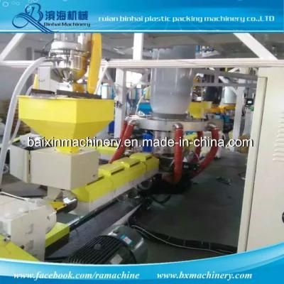 Rotary Die Two Layer Co Extrusion Film Blowing Machine