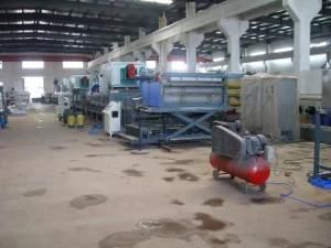Plastic Carpet Machine Manufacturer