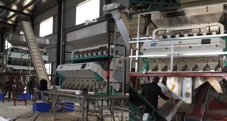 High Accuracy Double Sorting Plastic Color Sorter Machine