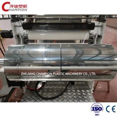 PET/PLA Sheet Film Extrusion Production Line from China Champion