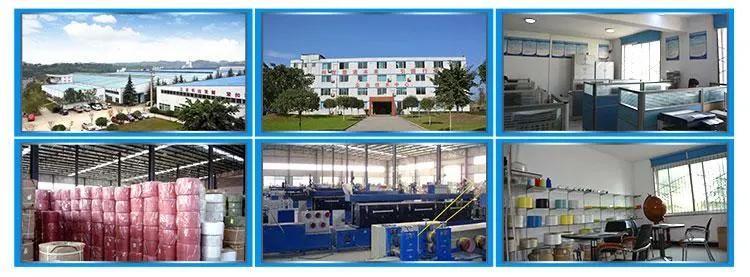 2 Lines Produce Automatic Strapping Band PE/PP Production Line