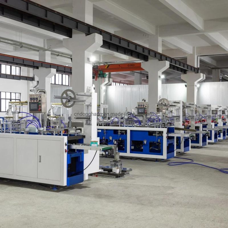 Pet Packaging Machine with Good Quality (DHBGJ-350L)