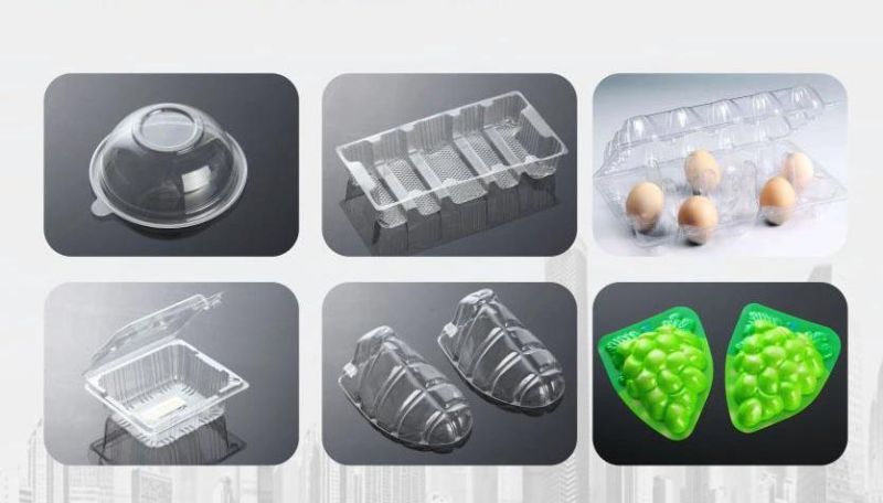 Clamshell Box/Cup Lid/Catering Tray/Seedlings Pot Making Machine