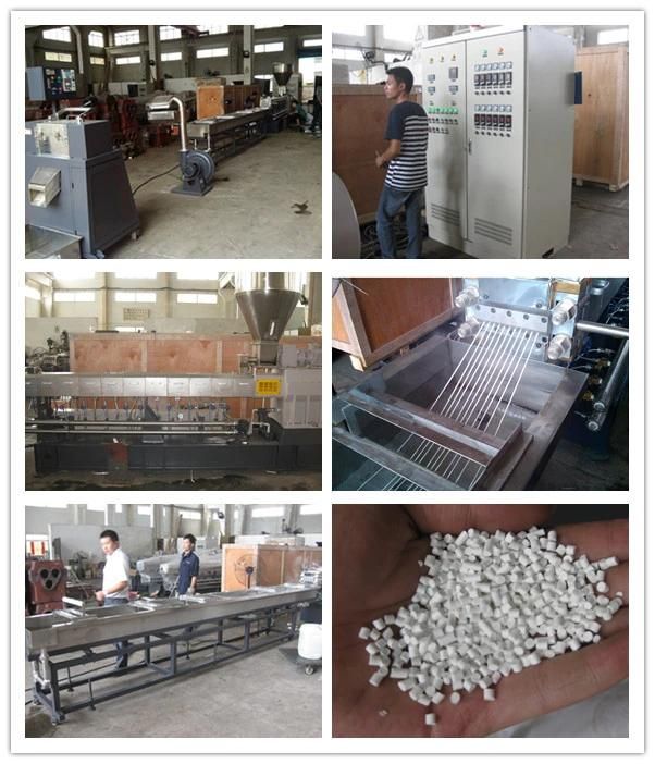 15%PP/PE+80% CaCO3 +5%Additives Mfi 4-10 High Filler Masterbatch Machine