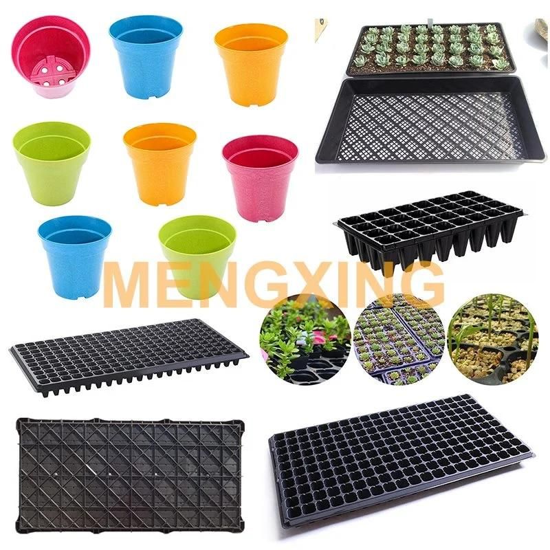 Fruit Container Pet Thermoforming Machine Direct Manufacture Fast Food Box Egg Biscuit Fruit Tray Thermoforming Machine Price Plastic Vacuum Forming Machines