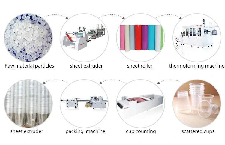 Made in China High Performance Automatic Disposable Pet Sheet Extruder Machine