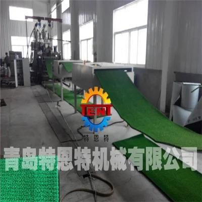 PE Artificial Hard Grass Mat Anti-Splash Car Fender Making Machine