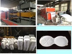 Hot Sale Automatic Disposable Food Containers Polystyrene Machine