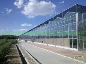 PP Hollow Plastic Sheet Machine Fabrication Parpain Extrusion Sheet Machines Manufacturers Automatic Line