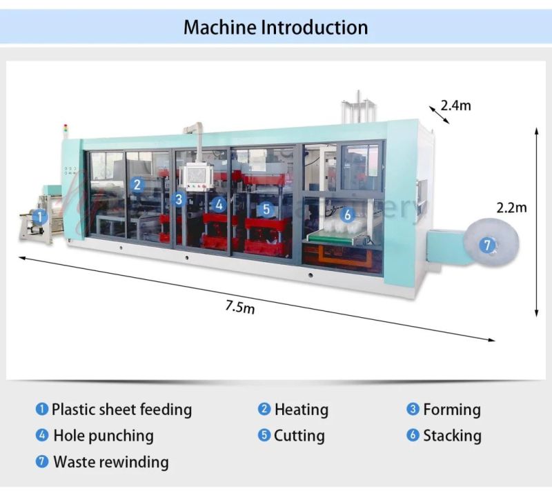 Automatic Thermoforming Machine Full Auto Plastic Flower Pots Flower Trays Forming Machine