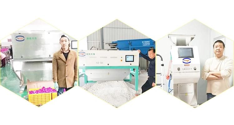 New Model CCD Conveyor Type Color Sorter Machine Color Selection